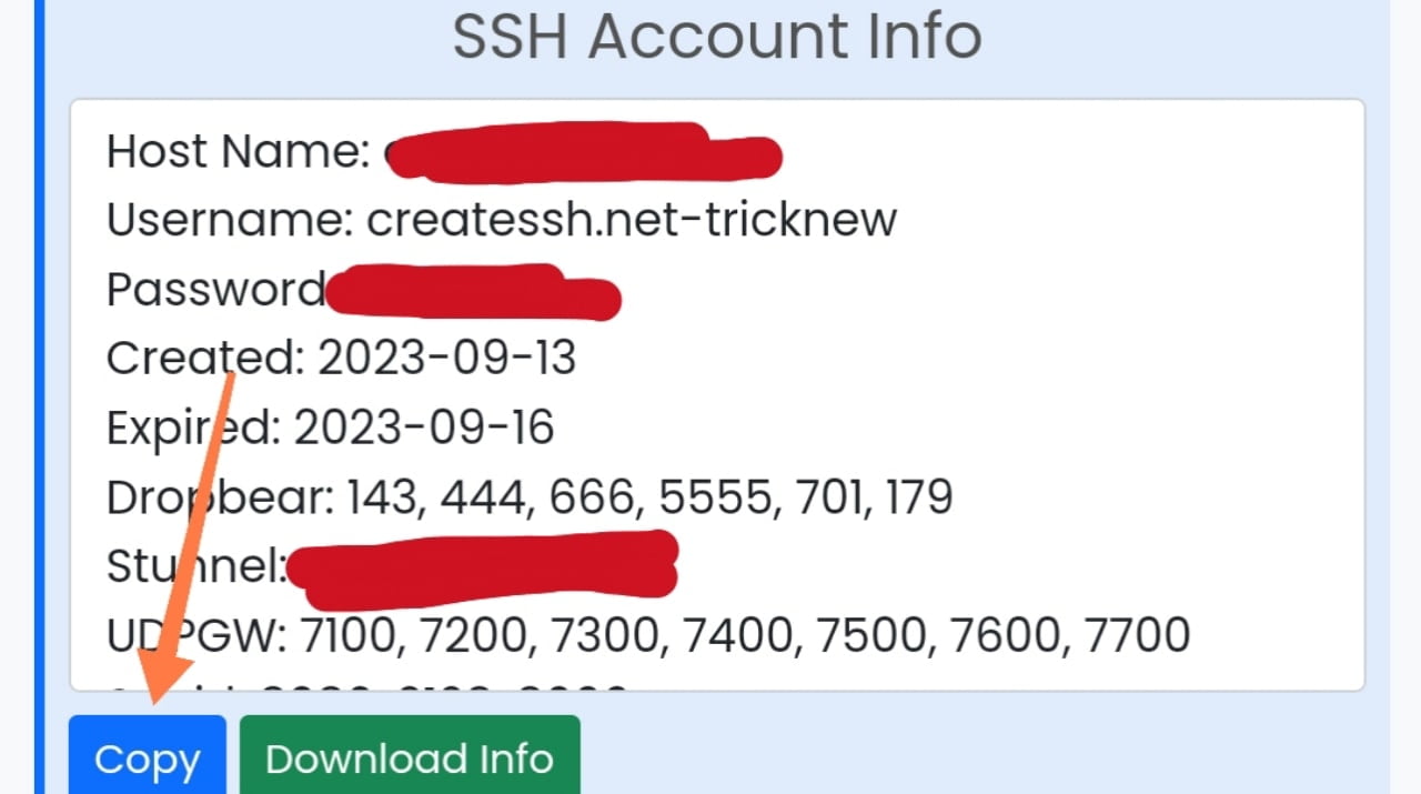Make Custom SSH Server